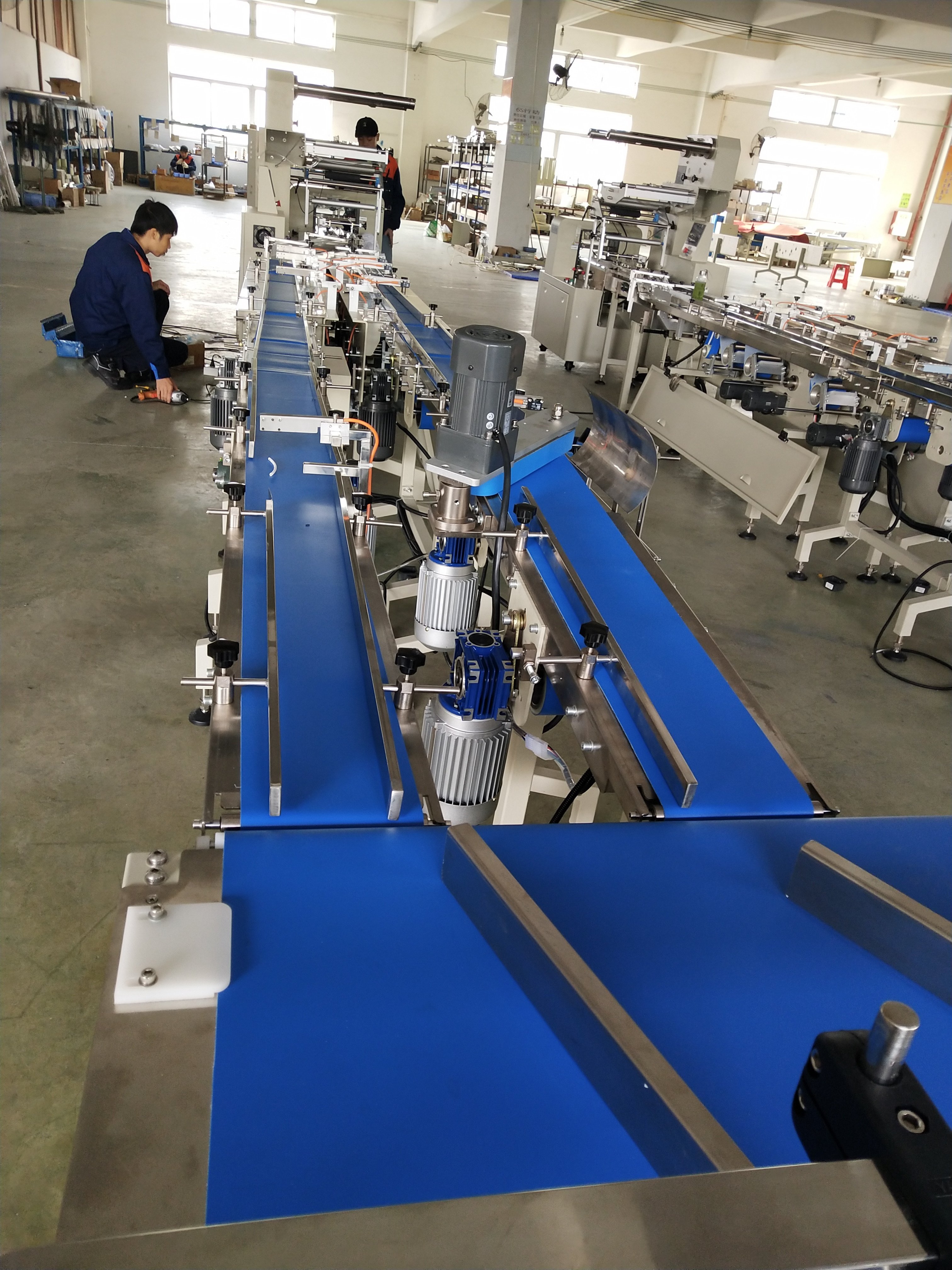 Horizontal Biscuit/cookies Packing Machine Auto case Flow Packer,full Automatic Pillow Bag Packing Equipment