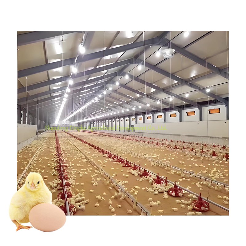 Automatic Poultry Farm Floor Raising Chicken Broiler Breeder Pan Feeder Drinker System Chicken Poultry