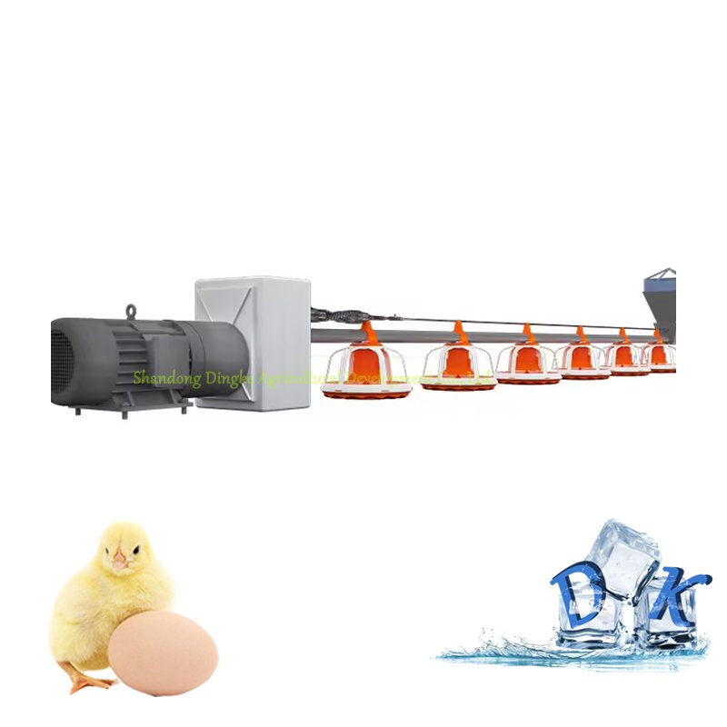 Automatic Poultry Farm Floor Raising Chicken Broiler Breeder Pan Feeder Drinker System Chicken Poultry