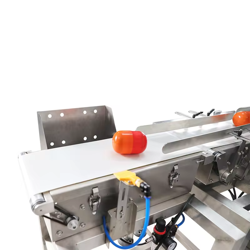 Industrial High Accuracy Machine Automatic Conveyor Checkweigher Weight Checking Machine