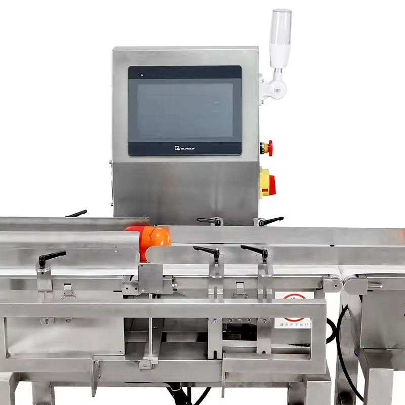 Industrial High Accuracy Machine Automatic Conveyor Checkweigher Weight Checking Machine
