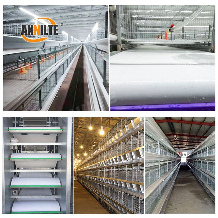 ANNILTE Chicken Manure Conveyor Belt Poultry White PP manure conveyor belt for chicken cage