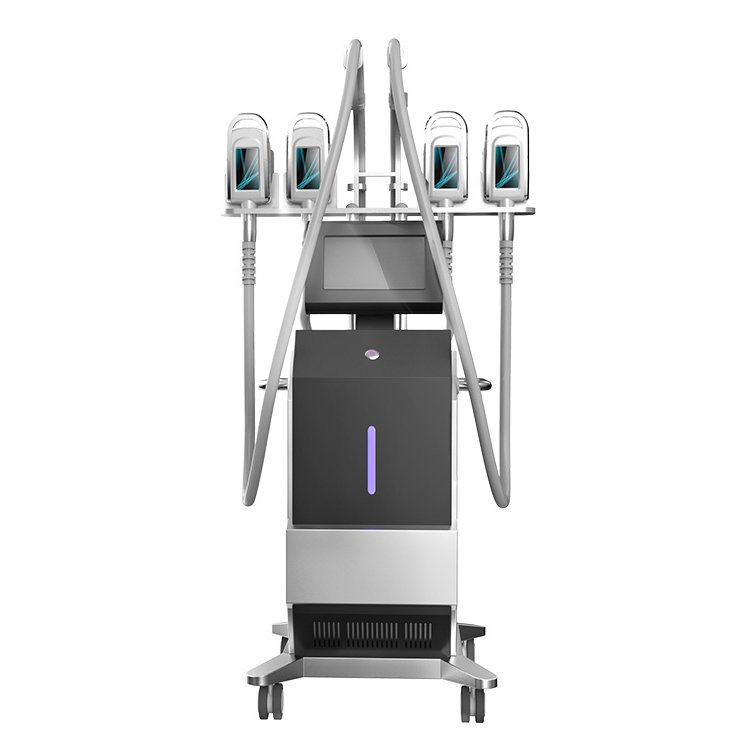 CE Approved Popular Leg Arm Belly Fat Removal Beauty Freeze Weight Loss Machine for Salon