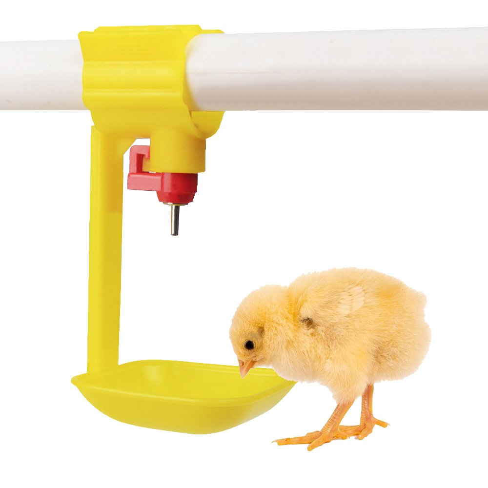 Poultry Automatic Drinker Modern Uae Chicken Farm Poultry Equipment Nipple Cup Drinker for Poultry