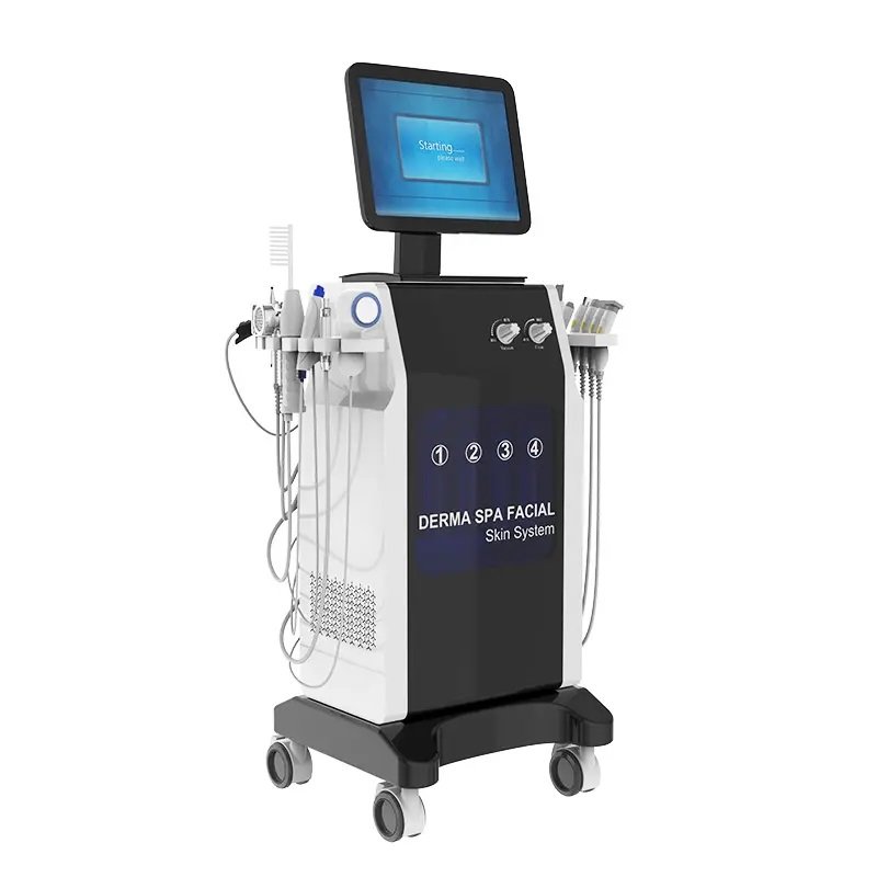 Multi-functional Oxygen Therapy Derma SPA Facial Skin System RF Fractional Device 15 in 1 H2O2 Aqua Peel Dermabrasion Machine