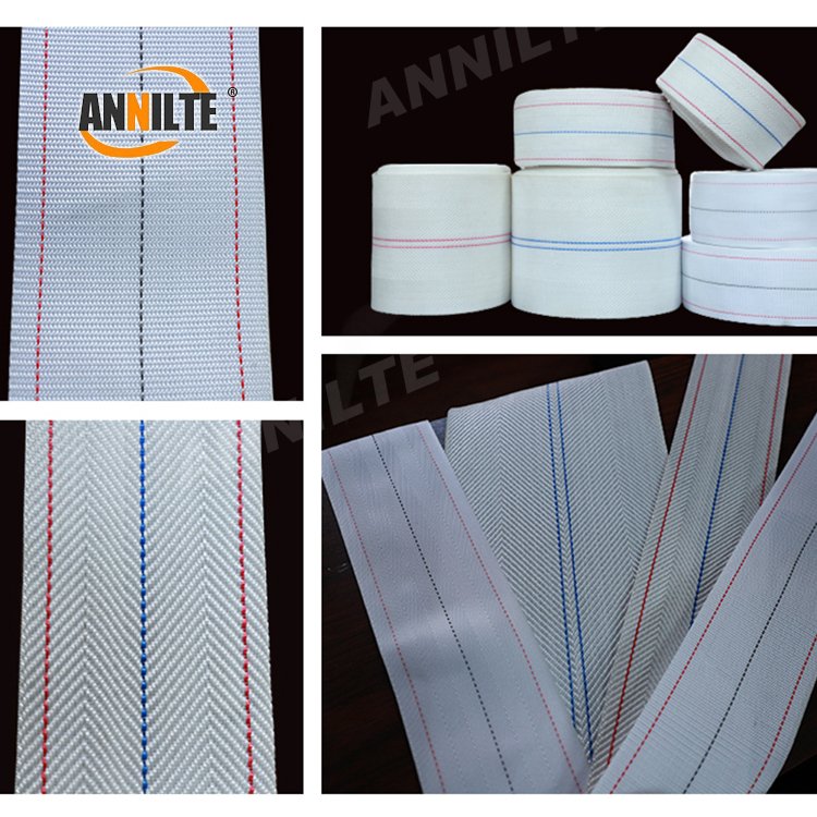 Annilte factory direct 10mm customized polypropylene woven chicken egg collection conveyor belt for farm