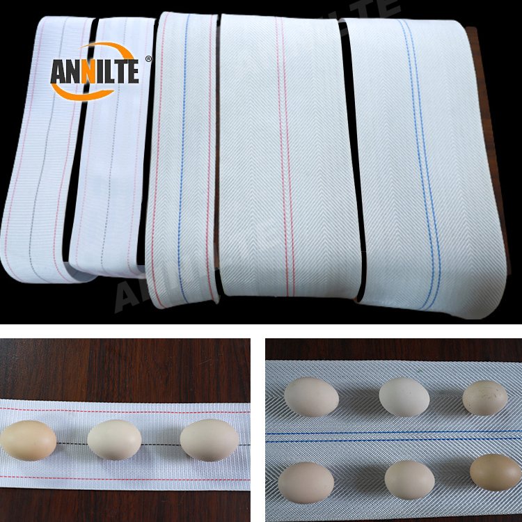 Annilte factory direct 10mm customized polypropylene woven chicken egg collection conveyor belt for farm