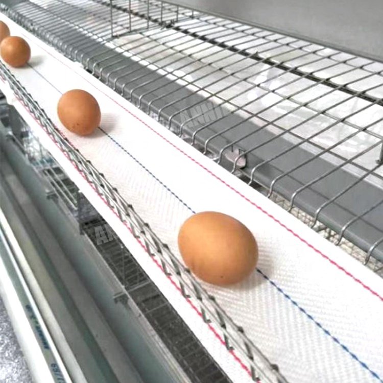 Annilte factory direct 10mm customized polypropylene woven chicken egg collection conveyor belt for farm