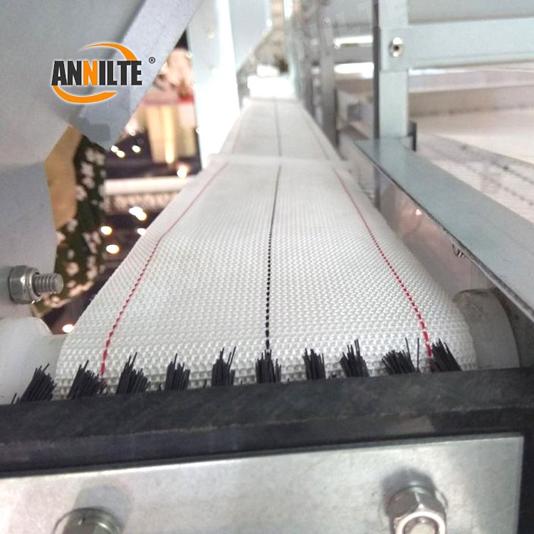 Annilte factory direct 10mm customized polypropylene woven chicken egg collection conveyor belt for farm