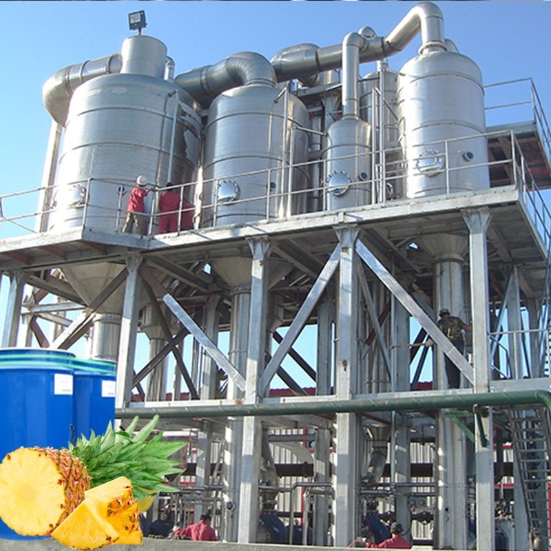 Automatic Pineapple Juice Production Line Auto Pineapple Juice Processing Plant Equipment Factory Machines