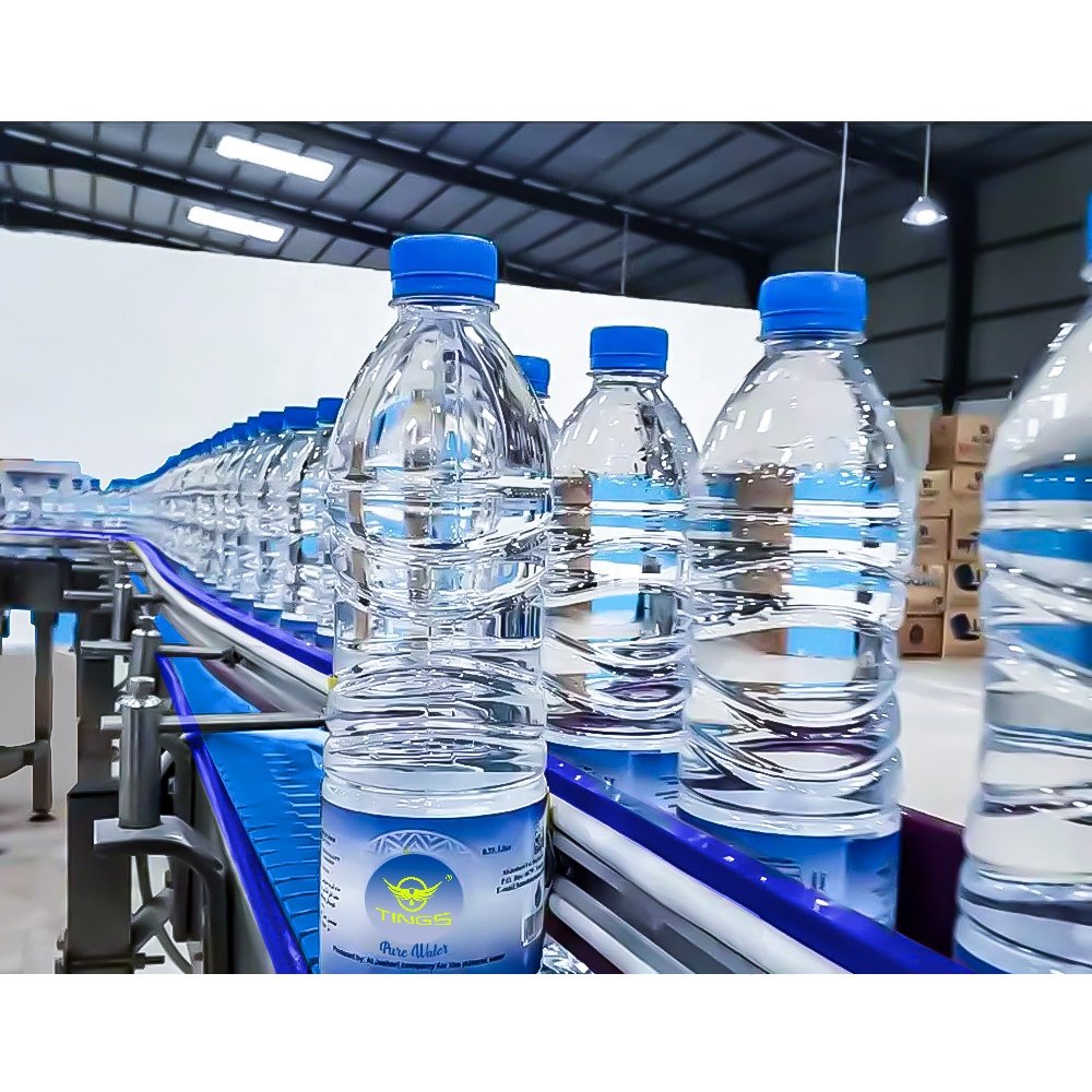 Automatic 3 in 1 Complete a to Z Mineral Water Bottle Filling Line Turnkey