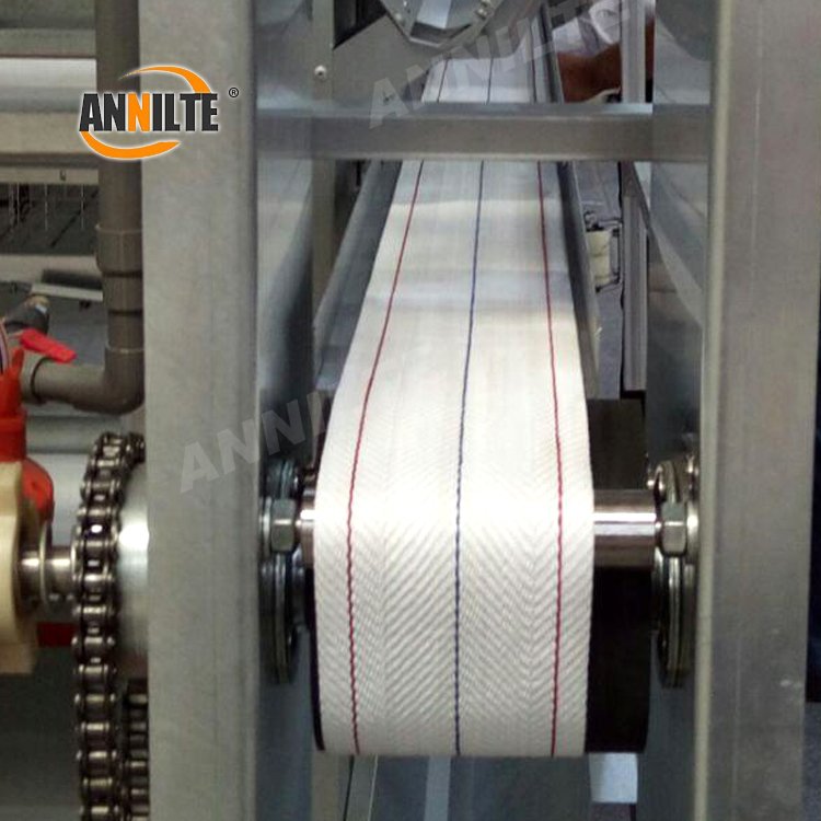Annilte Egg transport belt high tenacity polypropylene Conveyor belt for eggs Egg collection belt for chicken farm