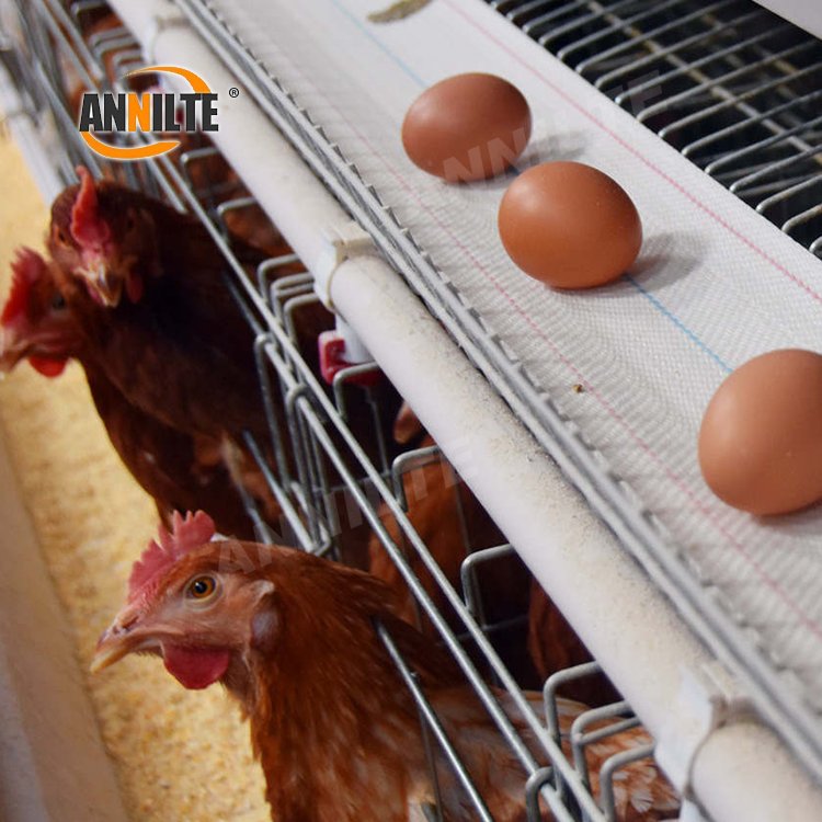 Annilte Egg transport belt high tenacity polypropylene Conveyor belt for eggs Egg collection belt for chicken farm