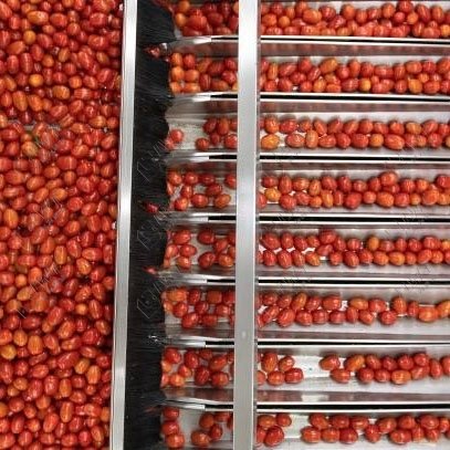 LWT Complete Full Automatic Tin Can Tomato Sauce Paste Ketchup Filling Machine Tomato Paste Production Line