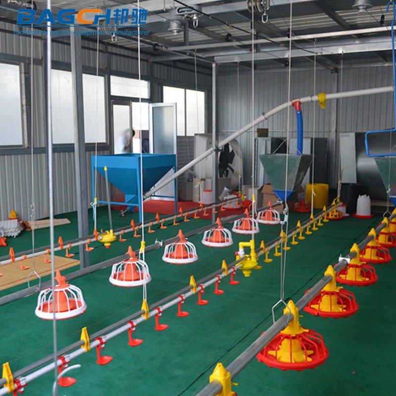 Automatic Chicken Pot Feeder Tray for Rooster Feeding Pot in Chicken Farm