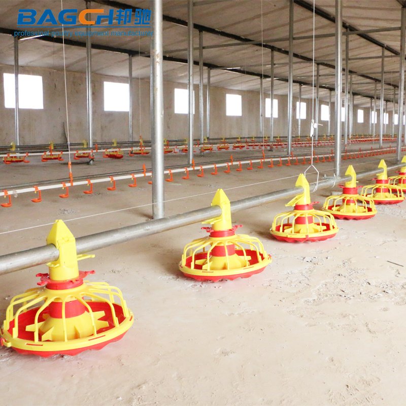 Automatic Chicken Pot Feeder Tray for Rooster Feeding Pot in Chicken Farm