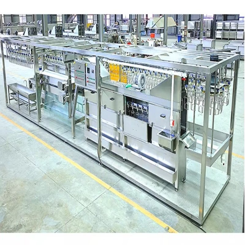 Containerized Compact 300-1000 Chickens Per Hour Mobile Chicken Slaughterhouse Processing Line