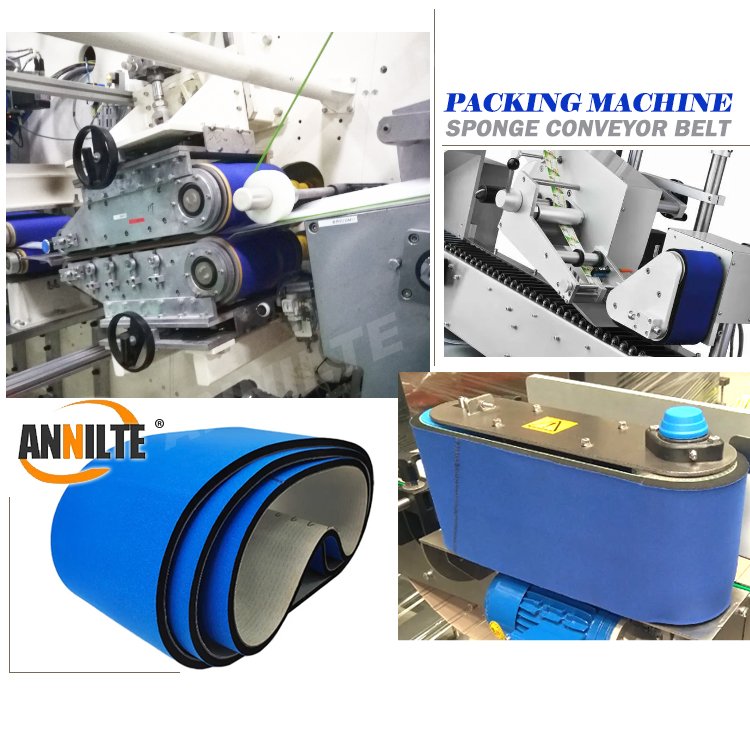 Annilte Sponge Belt For Folder Gluer/Folding Machine For Pressing Boxes Conveyor Belt With Blue Sponge And With Steel Buckle