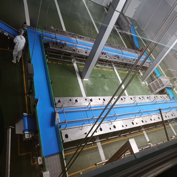 Smooth Stainless Steel Assembly Line Conveyor Belt for the Food Industry and Metal Conveyance