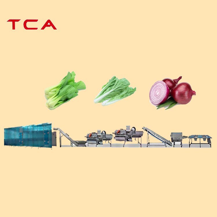 100kg/h Automatic Frozen Vegetable and Fruit Production Line With CE Certified High Quality Vegetable Production Line