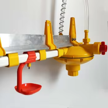 Yyc Full Set Automatic Drinking System Water Line Poultry Water Pressure Regulator for Chicken Farm