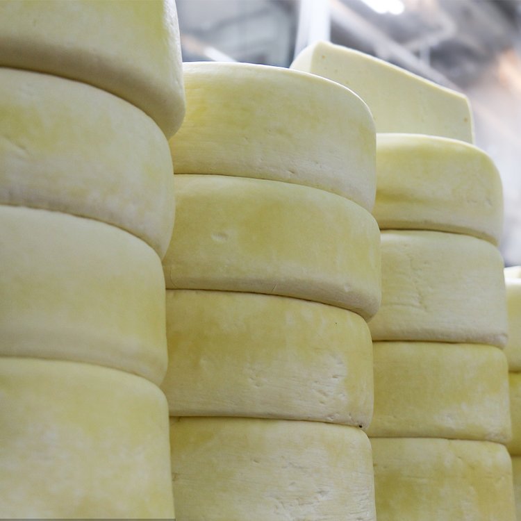 Feta Cheese Production Line for Cheese
