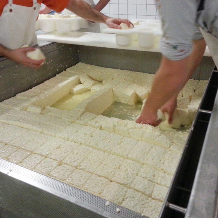 Feta Cheese Production Line for Cheese