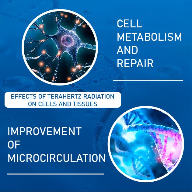 Terahertz Device Lymphatic Massage and Detox Physiotherapy Equipment Pain Relief