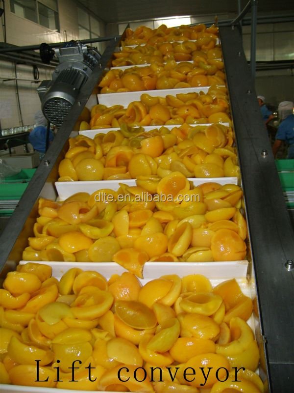 DLTE Lifting Conveyor with baffles/ flights baffle belt conveyor bucket conveyor