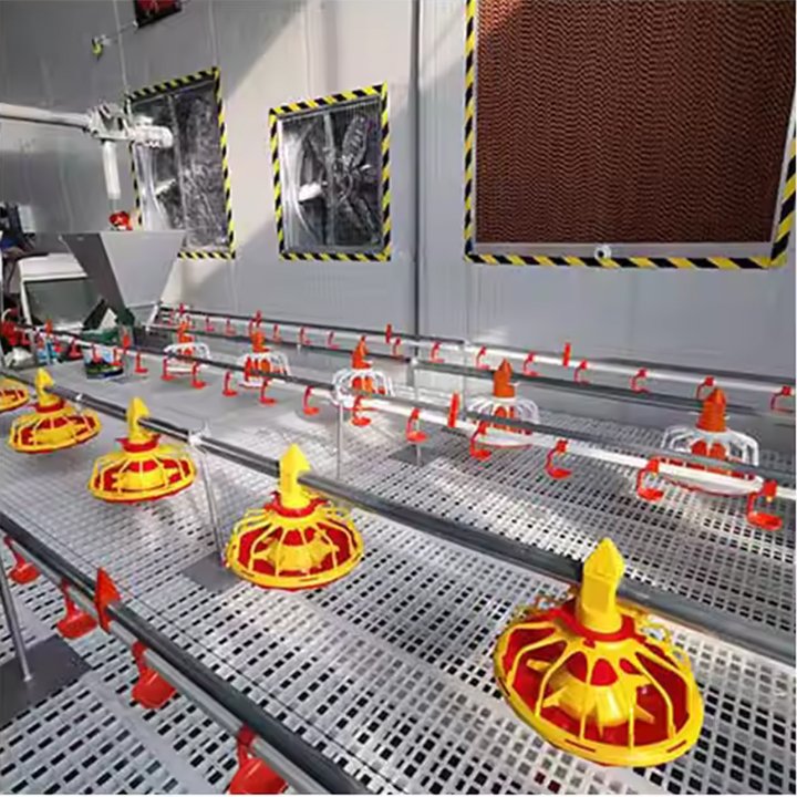 Factory Price Broiler Equipment Auto Hanging Drinkers and Feeders for Chickens