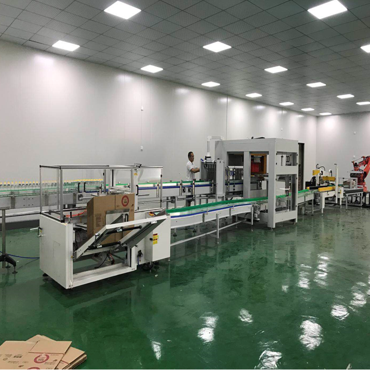 Auto case Packer Carton Side Load, case Packer Complete Carton Erector System, Pick up and Place Bottle Carton Packer