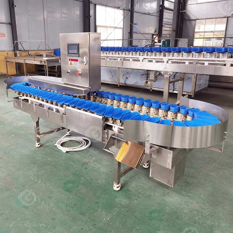 Chicken Breast Sorter Sorting Grading Grade Abalone Guava Clam Auto Belt Type Weight Machine Apparatus Line and Check