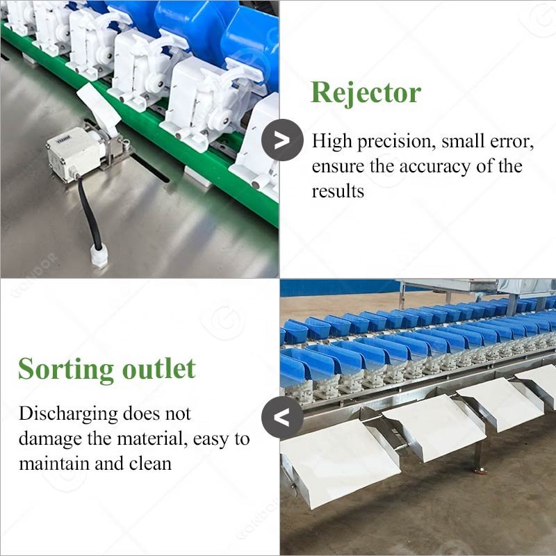 Chicken Breast Sorter Sorting Grading Grade Abalone Guava Clam Auto Belt Type Weight Machine Apparatus Line and Check