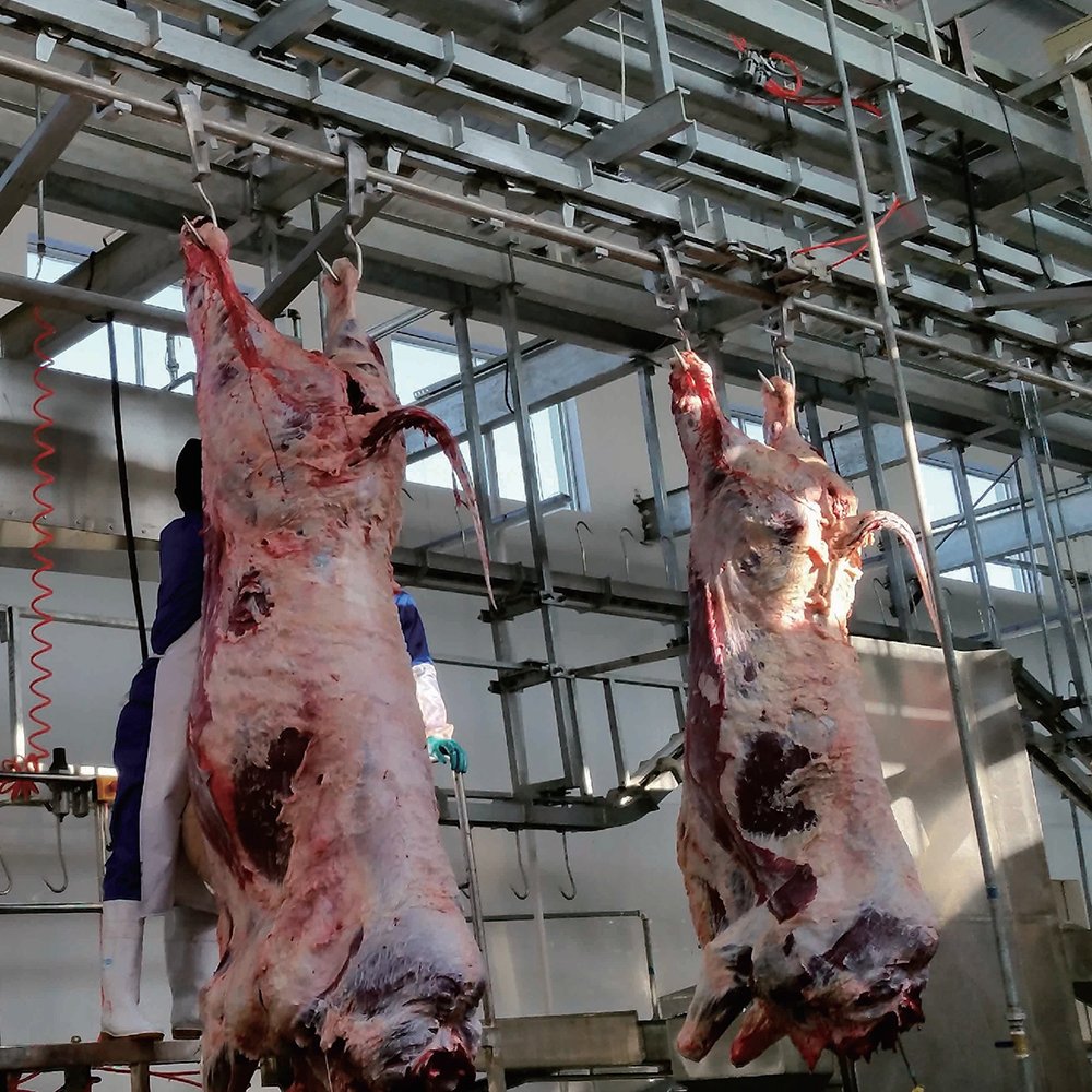Cattle Pig Chicken Poultry Butchery Slaughtering Equipment Set Slaughter Machine Line and Sausage Production Line