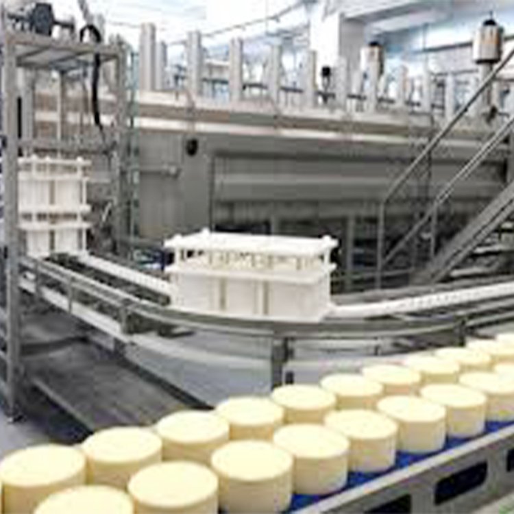 Pizza Cheese Machine Production Line Cheese Processing Machinery