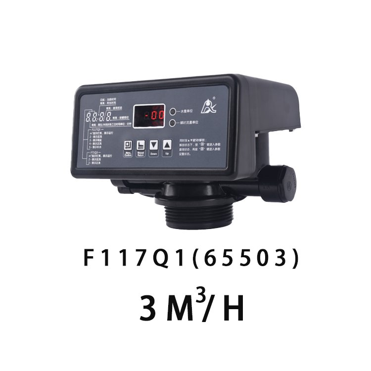 RUNXIN F117Q1 3 M³/h Control Valve with Electric Control Regulating Function for RO Machine Soft Water System