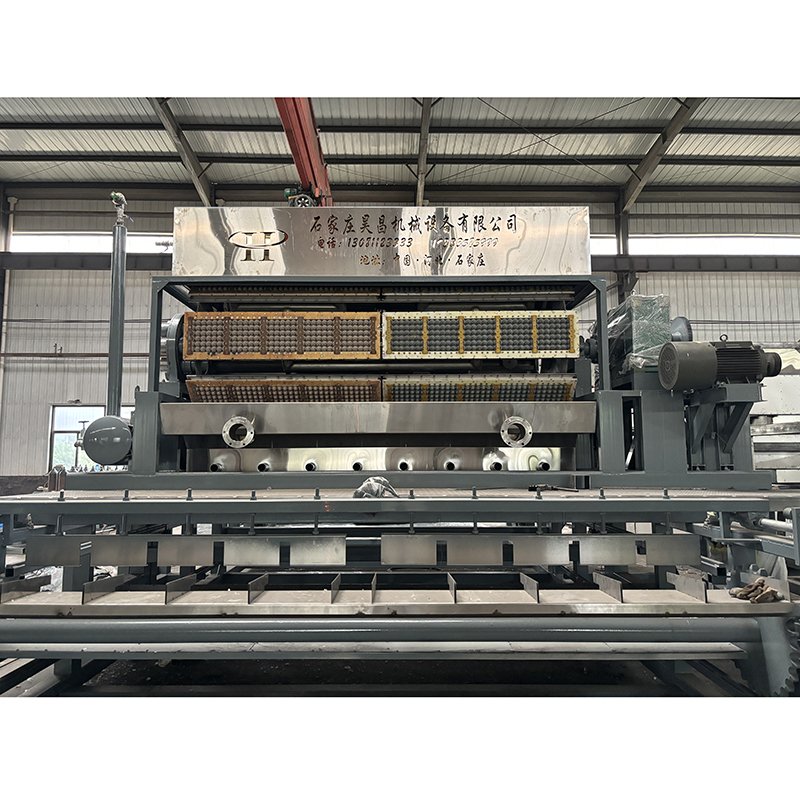 High-Speed 8000pcs/hr Auto Egg Tray Production Line with PLC Motor Core Components for Paper Mill Industries Direct Manufacturer