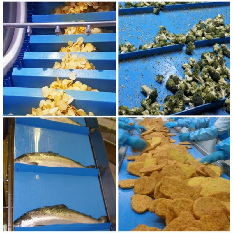 Food Safe Elevating Thermoplastic Conveyors Belts For Meat & Poultry
