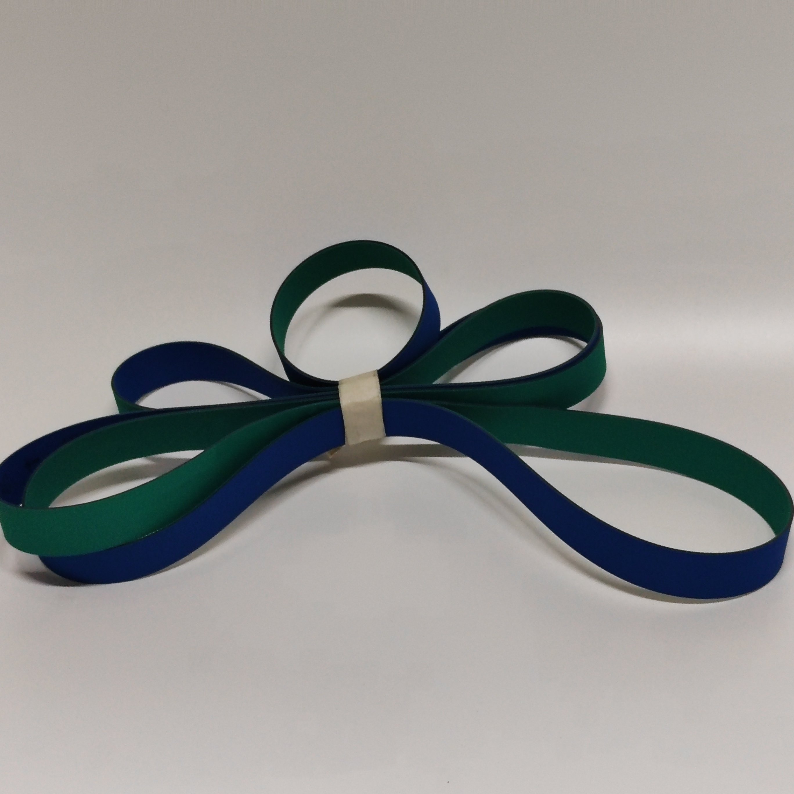 HABASIT flat belt 1977-20 Nylon sheet base transmission flat belt for the textile industry can be customized 1977-20