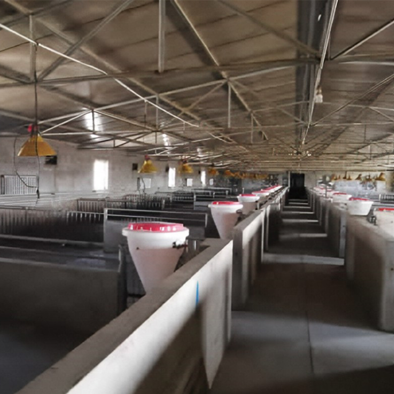 High Quality Pig Livestock Feeder 100kg Dry Wet Animal Feed Feed Processing Machines Automatic Farming Equipment Feeder Trough