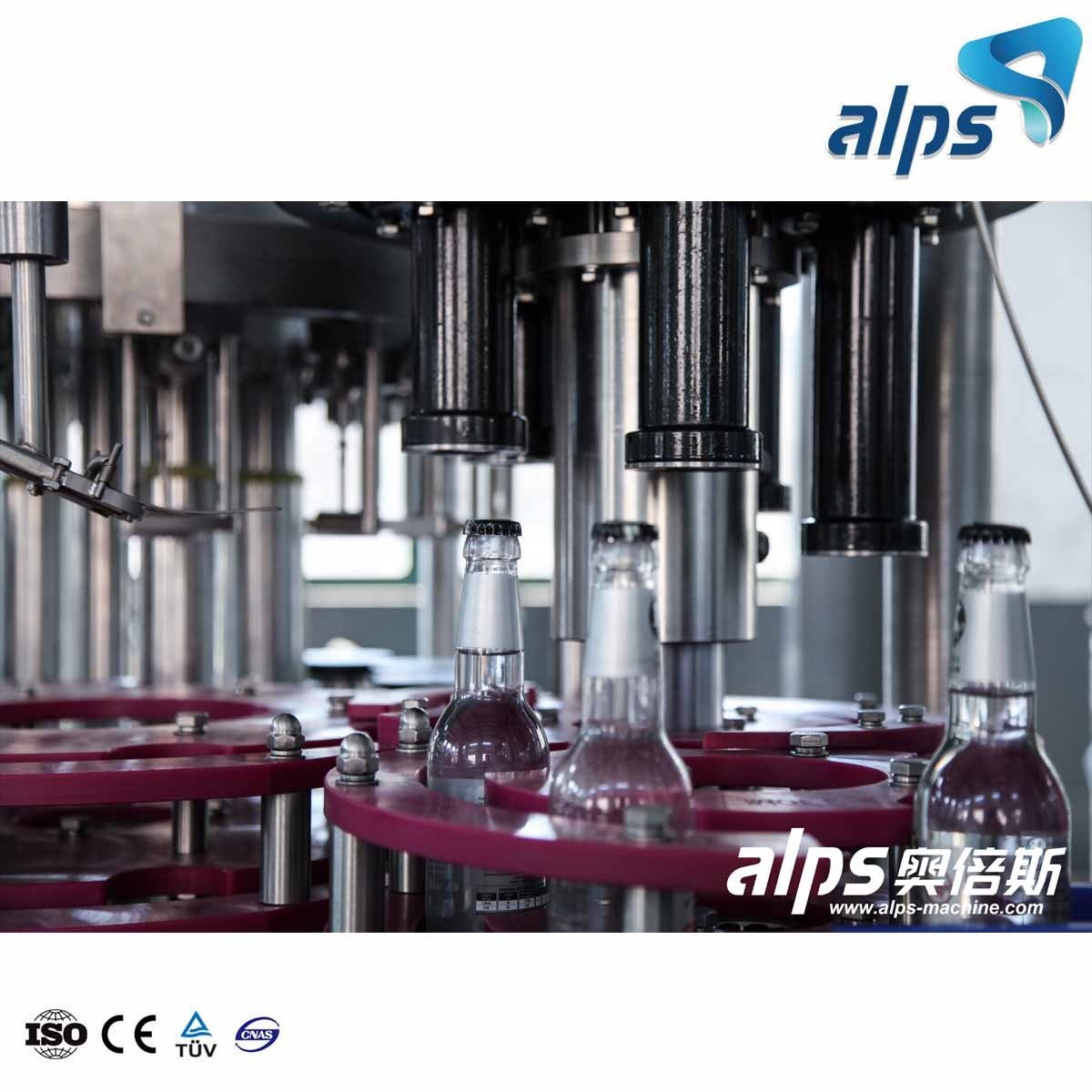 Purified Pure Water Production Line Bottling Plant Machine Equipment Small Ro Treatment System
