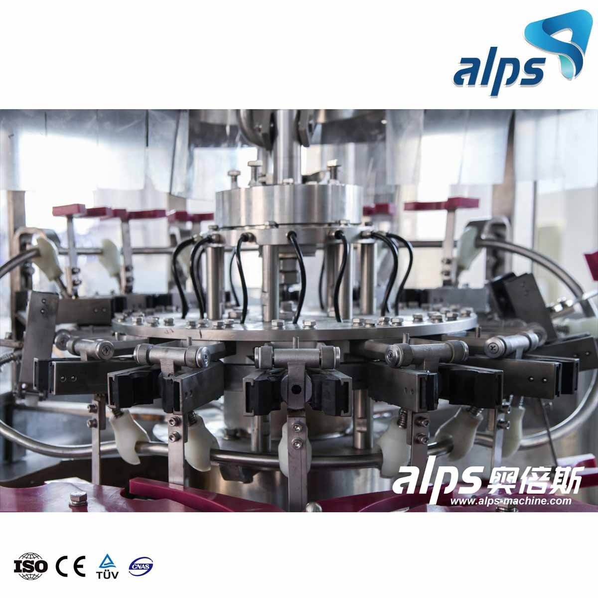Purified Pure Water Production Line Bottling Plant Machine Equipment Small Ro Treatment System