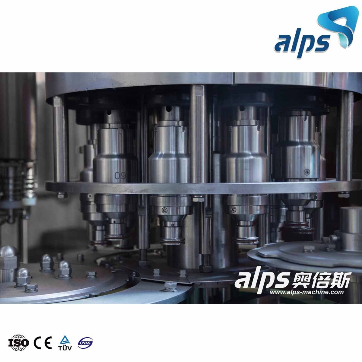 Purified Pure Water Production Line Bottling Plant Machine Equipment Small Ro Treatment System