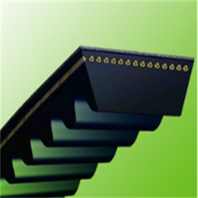Industrial Variable Speed Belt