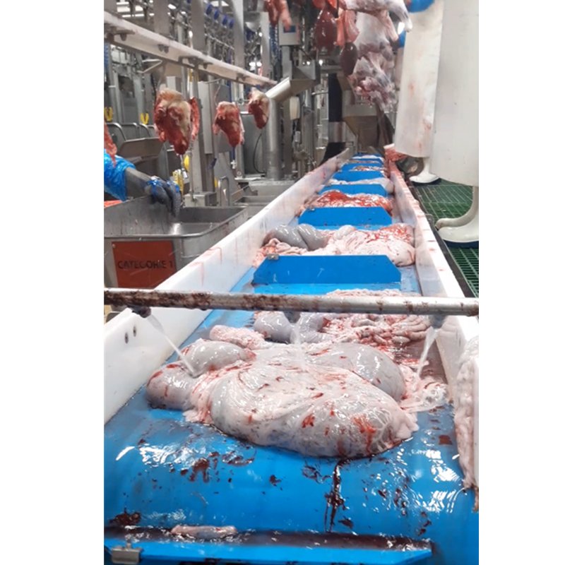 High Quality Baffled Slaughterhouse Meat Segmentation And Water Saving Thermodrive Conveyor Belt Meat Production Conveyor Belts