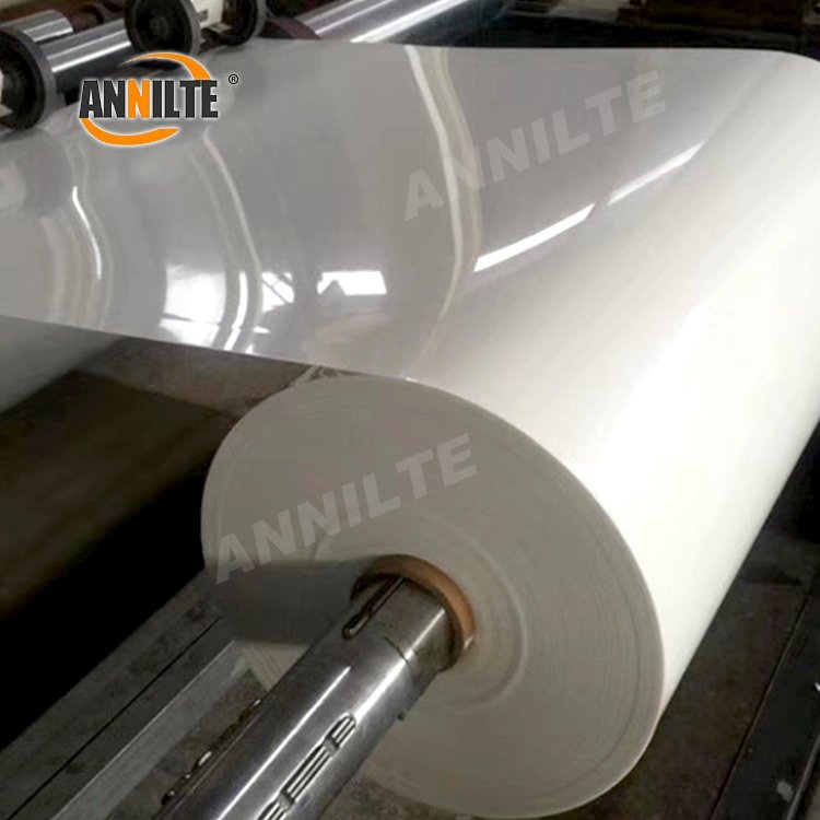 Annilte custom china laying hens farms poultry manure conveyor belt chicken manure belt