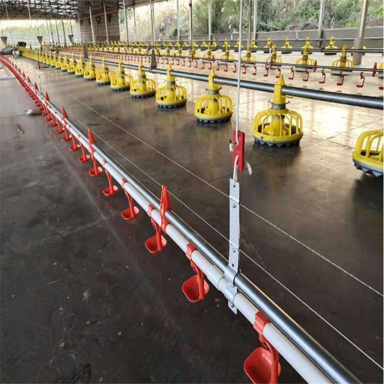 Poultry House for 10000 Chickens /broiler Chick Poultry Nipple Drinker and Feeder Pan