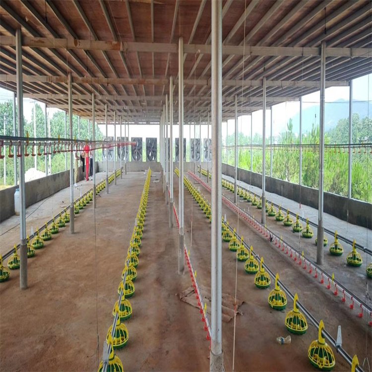Poultry House for 10000 Chickens /broiler Chick Poultry Nipple Drinker and Feeder Pan