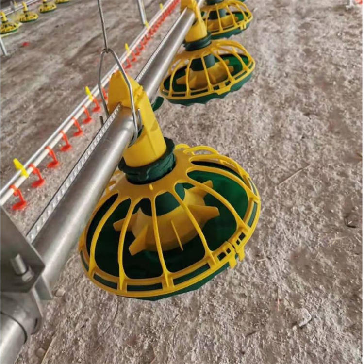 Poultry House for 10000 Chickens /broiler Chick Poultry Nipple Drinker and Feeder Pan