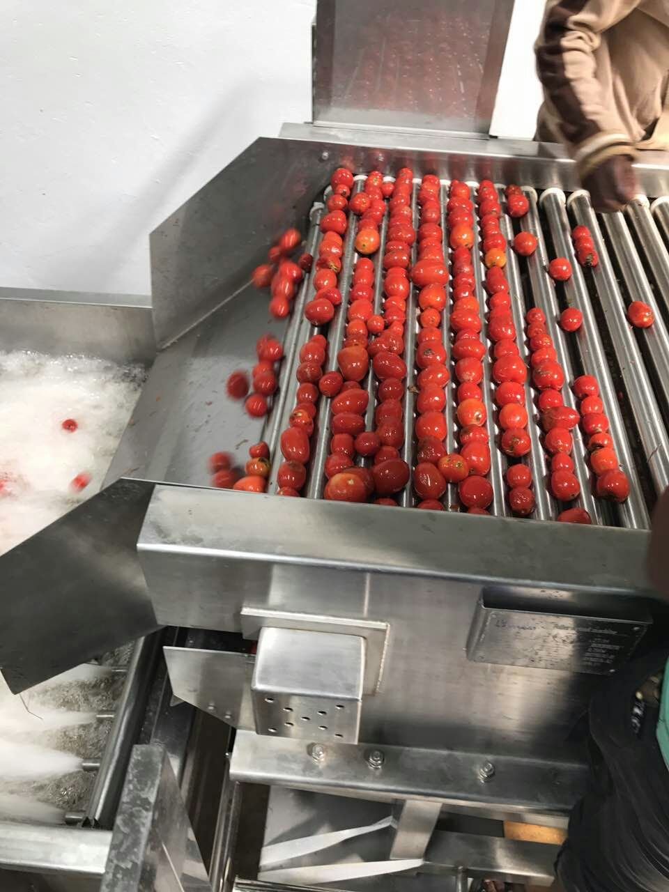 2-10T/H Concentrate Tomato Puree Factory/ Tomato Paste Processing Plant